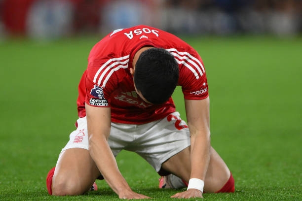 贝拉个人的 贝拉个人的